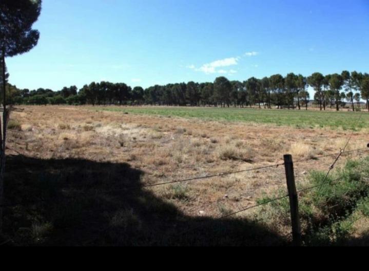 0 Bedroom Property for Sale in Loxton Northern Cape